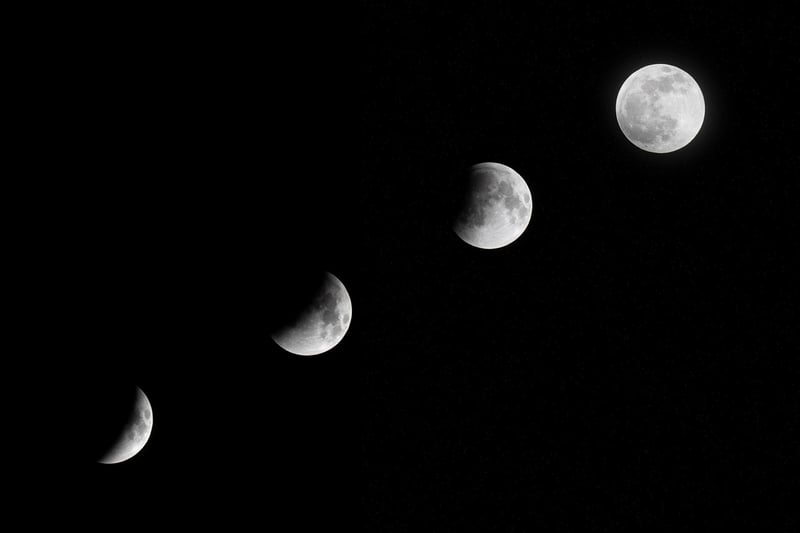 Moonlit Centerpiece